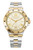 AIGNER Aigner Watch [AGW.243003], luxury wristwatch with a gold and silver two-tone band and a round gold bezel.
