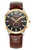 AIGNER Aigner Watch [AGW.240004], luxury wristwatch with a gold bezel, dark brown textured dial, date display, and brown leather strap.