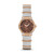 CERRUTI 1881 WATCH [CIWLG2117001]