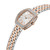CERRUTI 1881 WATCH [CIWLG0086306]