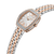 CERRUTI 1881 WATCH [CIWLG0086306]