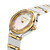 CERRUTI 1881 WATCH [CIWLG0008502]