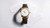 OMEGA Seamaster 37 mm, elegant luxury wristwatch with gold case, white dial, and brown leather strap.