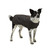 Oilskin Woollen Dog Coat - XXS to XXL