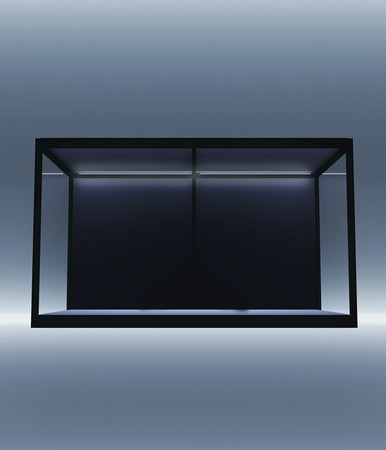 Moduspace: A display setup Desired by every Collector!