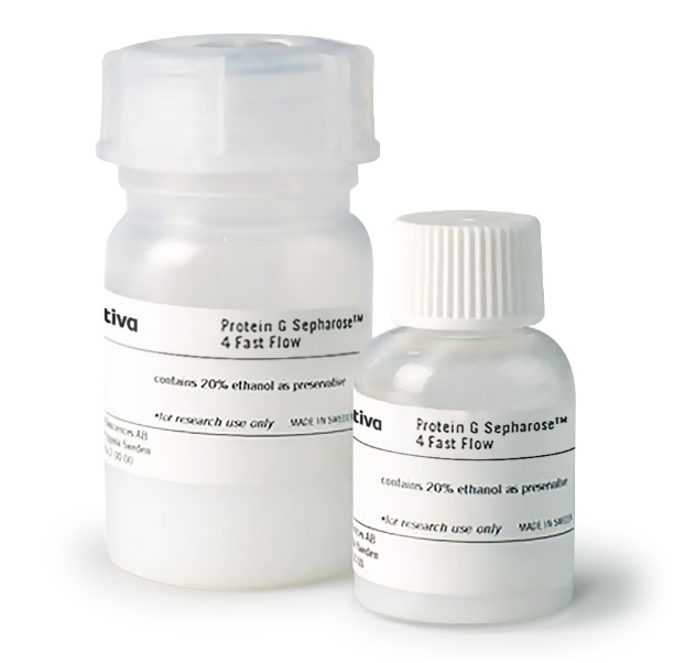 how to supplement glutathione Glutathione