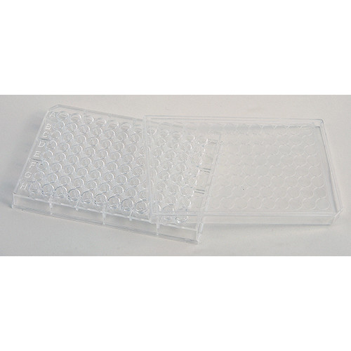 WELL PLATE, CLEAR PLASTIC-UNITED F1004