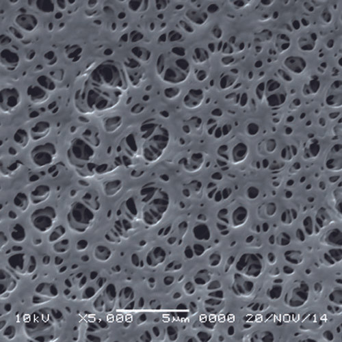 Polyethersulfone (PES) Membrane Filter-GVS 1214475