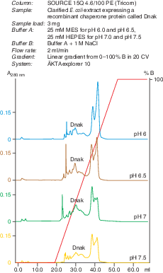 Source 15Q 4.6/100 PE, 1.7 mL-CYTIVA 17518101