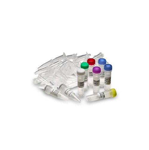 Amersham Ready-To-Go RAPD Analysis Beads, 100 reactions-CYTIVA 27950001