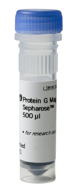 Protein G Mag Sepharose, 500 µl-CYTIVA 28944008