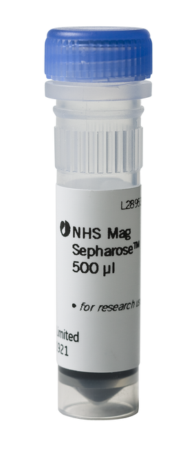 NHS Mag Sepharose, 500 µl-CYTIVA 28944009