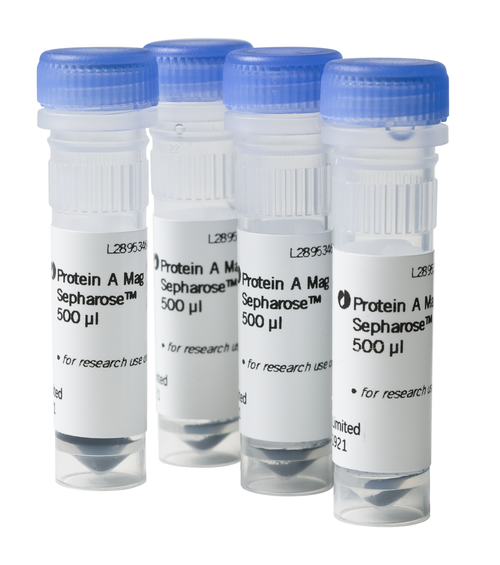Protein A Mag Sepharose 4x500 μl-CYTIVA 28951378