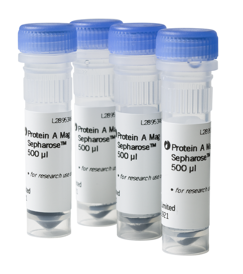 Protein A Mag Sepharose 4x500 μl-CYTIVA 28951378