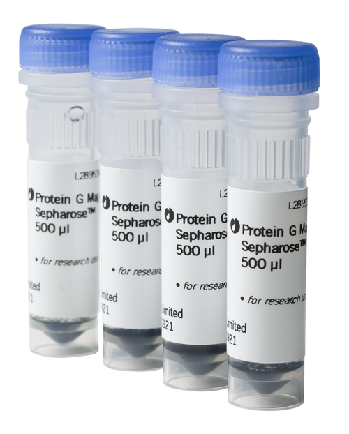Protein G Mag Sepharose 4x500 μl-CYTIVA 28951379