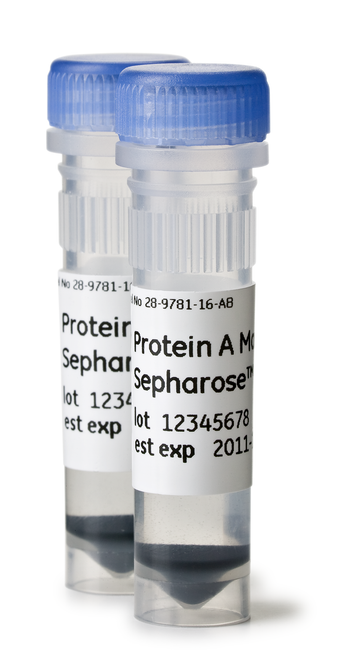 PROTEIN A MAG SEPHAROSE XTRA 2 X 1 mL-CYTIVA 28967056