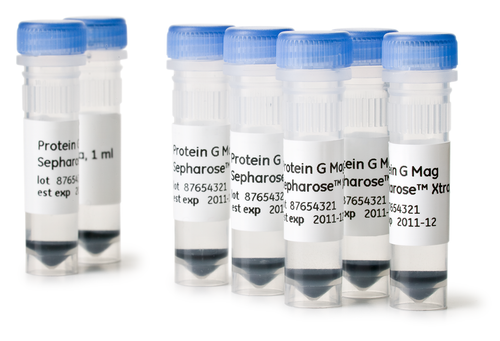 PROTEIN G MAG SEPHAROSE XTRA 2 X 1 mL-CYTIVA 28967066