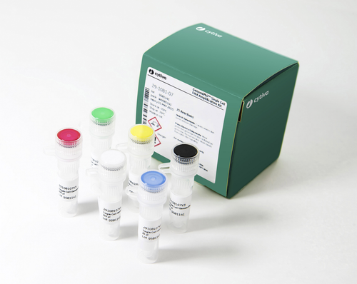GenomiPhi Single Cell DNA Amplification Kit, 25 Reactions-CYTIVA 29108107