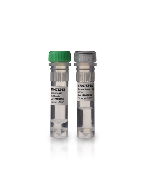 Exonuclease I, 2500 Units-CYTIVA E70073Z