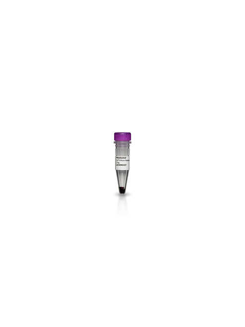 Cy5 Mono-Reactive Maleimide, 5 mg-CYTIVA PA15130