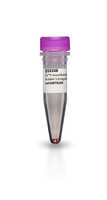 Cy5 Maleimide Mono-Reactive Dye, 5 vials each sufficient to label 1mg protein-CYTIVA PA25031
