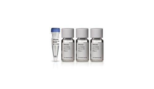 Anti-BrdU (Bromodeoxyuridine) Antibody, 130 uL-CYTIVA RPN202