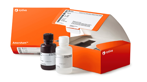 Amersham ECL Detection Reagents, for 4000cm² membrane-CYTIVA RPN2105