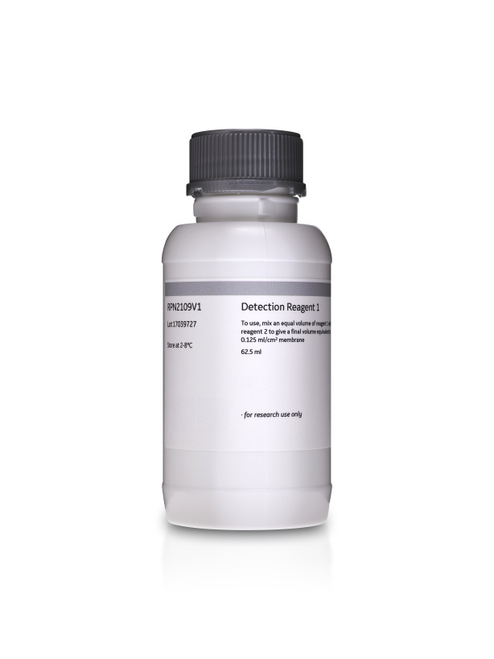 Amersham ECL Western Blotting Detection Kit for detecting 1000 cm²-CYTIVA RPN2108