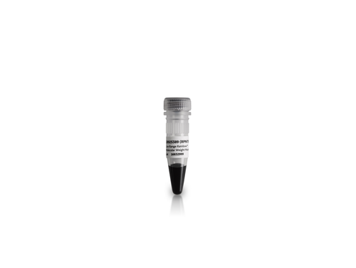 Amersham ECL High-Range Rainbow Molecular Weight Markers-CYTIVA RPN756E