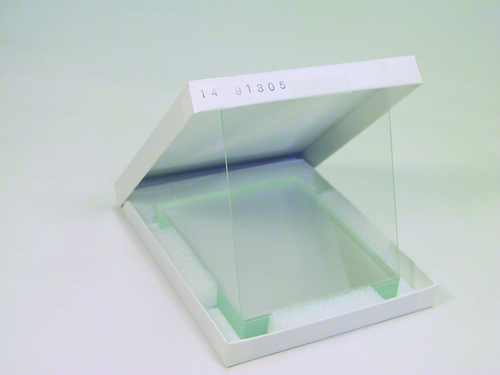 Glass plate, rectangular, 10 pk-CYTIVA SE202P-10