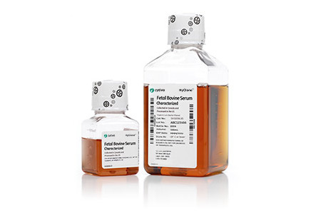 HyClone Characterized Fetal Bovine Serum, CA Origin, 500 mL-CYTIVA SH30396.03