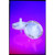 Whatman Polydisc TF Filter, polypropylene, 0.45 µm 10/pk-CYTIVA 6720-5045
