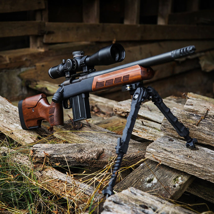 The Gladiatore: About This WOOX Gun Stock 