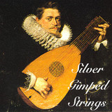 Silver Gimped Gut Strings