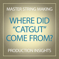 Where Did "Catgut" Come From?