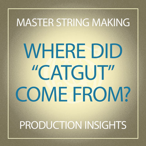 Where Did "Catgut" Come From?