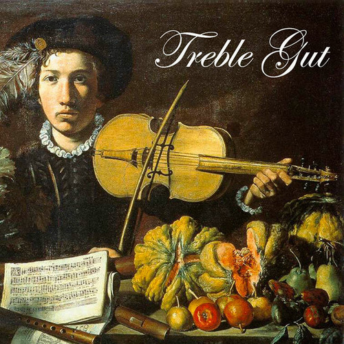 Treble Gut Strings