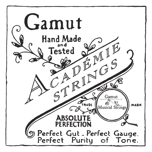 Set Academie G-Violone Strings