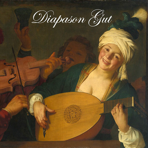 Diapason Gut Strings