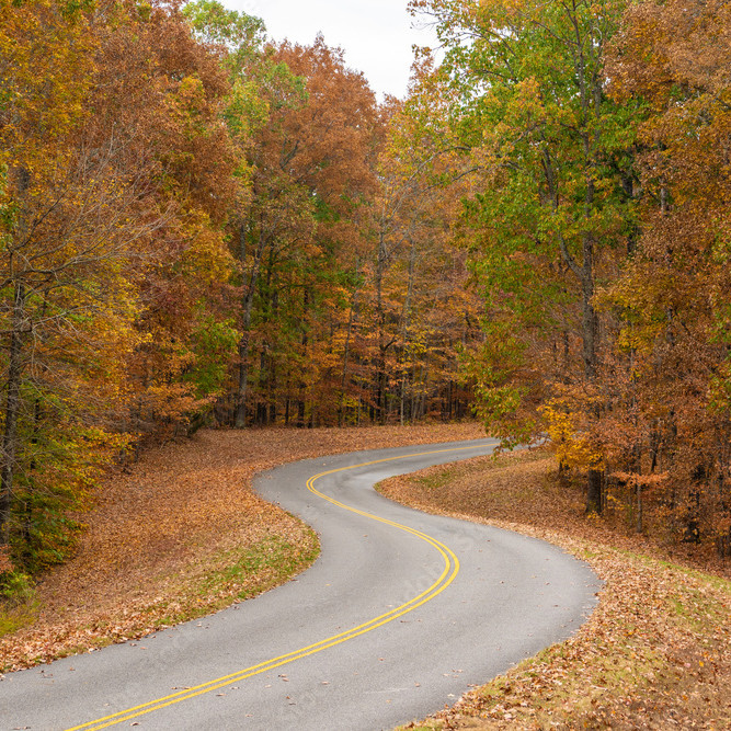 Natchez Trace Parkway Road Trip: Fascinating History and Unforgettable ...