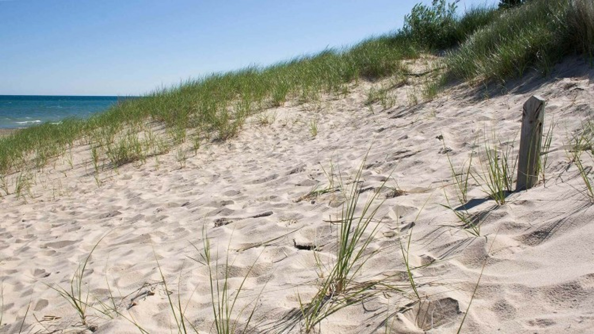 10 Facts About America's 61st National Park: Indiana Dunes National Park