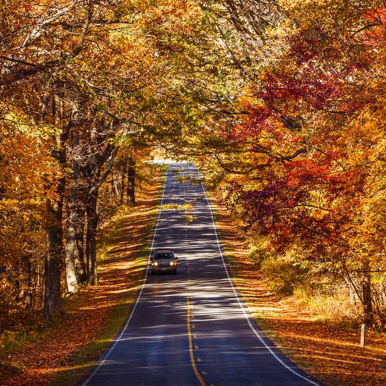 Skyline Drive, Shenandoah National Park: Fall Foliage and Scenic Wonders
