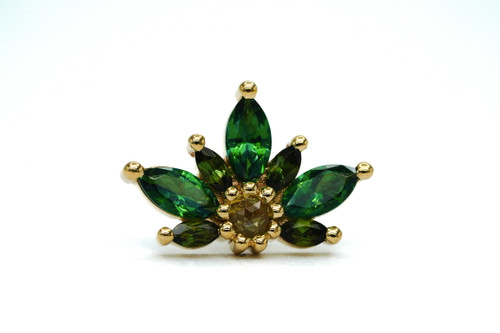 14mm Starling from BVLA 14mm Starling from BVLA