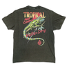 Tropical Pest Control