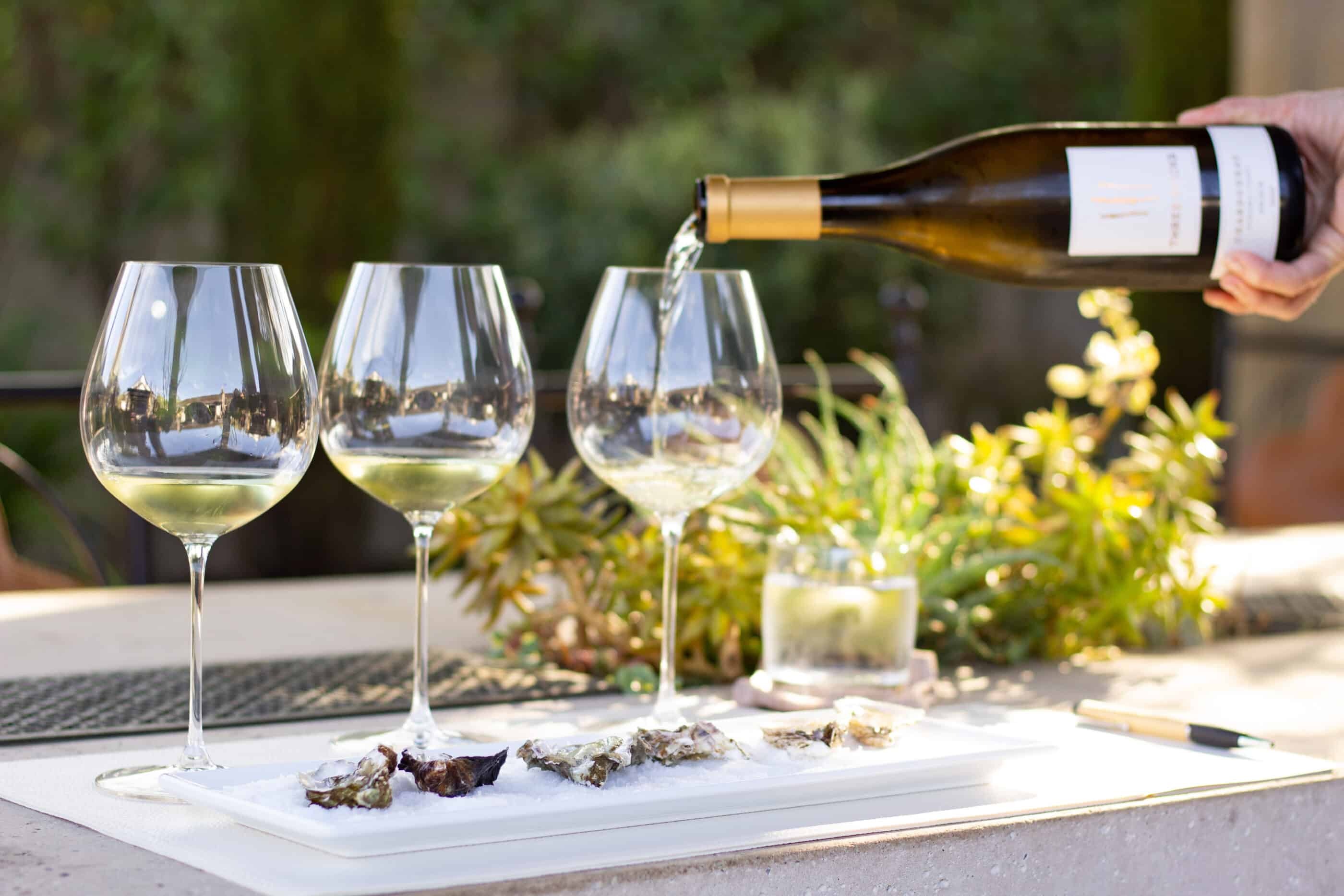 three glasses of white wine and a plate of oysters