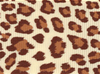 Natural Leopard Print Grosgrain Ribbon #634
