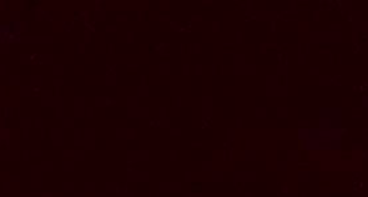 Burgundy Nylvalour Swiss Velvet #434