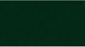 Hunter Green Nylvalour Swiss Velvet #621