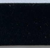 Black Viviana Velvet Ribbon #030