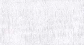 White Sheer Organdy #601